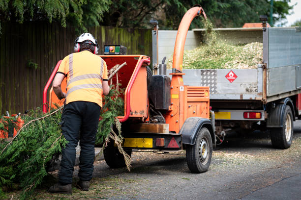 Best Utility Line Clearance  in Pinson, AL
