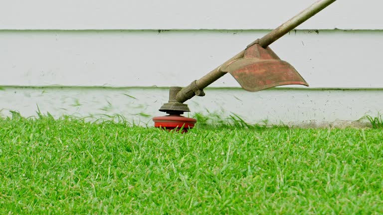 Lawn Pest Prevention in Pinson, AL