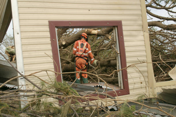 Professional Tree Services in Pinson, AL